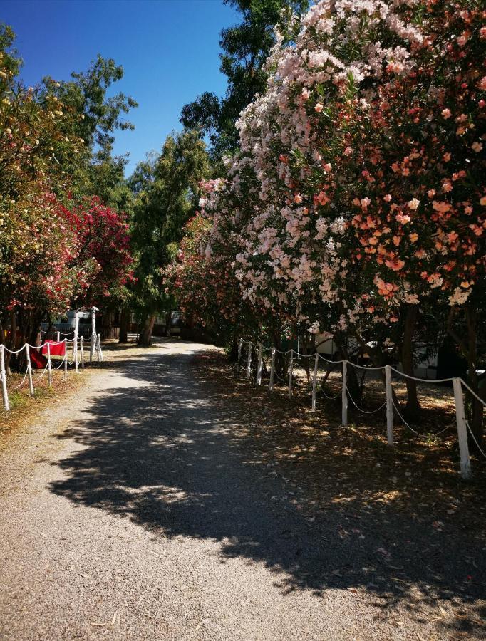 Camping Pitagora Hotel Rossano Exterior foto